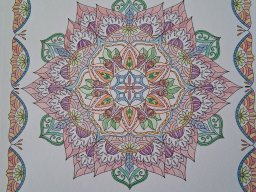 whatsapp image 2025-12-27 at 11.21.46